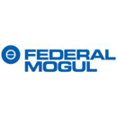 FEDERAL MOGUL-BCA