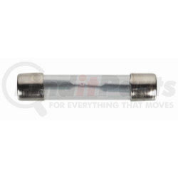 2406F by THE BEST CONNECTION - 5 Amp AGC Glass Iron-Head Fuse 2 Pcs