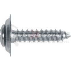 6306 by AUTO BODY DOCTOR - Phillips Oval Head Trim Screw, Size: 10 x 3/4", Head Size: #8, Finish: Chrome, Qty: 10