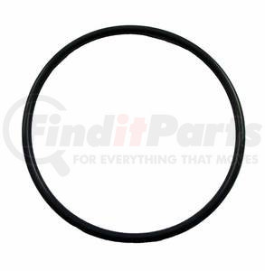 500001037E by AXLETECH - O-Ring 3.53X75.79