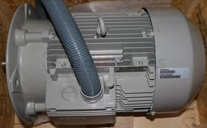 1LA91632KA91-ZT00 by SIEMENS - ELECTRIC MOTOR 11kW 220/440V 60Hz