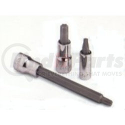 81800 by SK HAND TOOL - T-10 Replacement Torx® Bit 