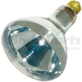 S4999 by SATCO - Satco S4999 250r40/1 250w Incandescent W/ Medium Base Bulb