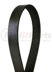 4060427 by CONTINENTAL - Multi-V Belt