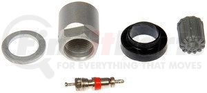 609-111 by DORMAN - TPMS VALVE CORE KIT