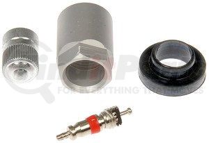 609-113 by DORMAN - TPMS VALVE CORE KIT