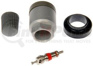 609-117.1 by DORMAN - TPMS VALVE CORE KIT