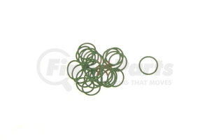 40-03504-25 by OMEGA ENVIRONMENTAL TECHNOLOGIES - ORING GREEN #12 FTG & SPRINGLOCK 25 BAG