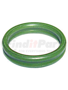 MT1106 by OMEGA ENVIRONMENTAL TECHNOLOGIES - 25 PK, For Fiat DOUBLE O-RING #10  For Fiat: 10552183