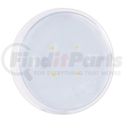 61E41 by GROTE - LED WhiteLight™ 4" Dome Light - Male Pin, 12V