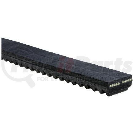 BX36 by GATES CORPORATION - TRI-POWER BELT