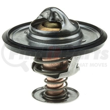 228-160 by MOTORAD - Thermostat