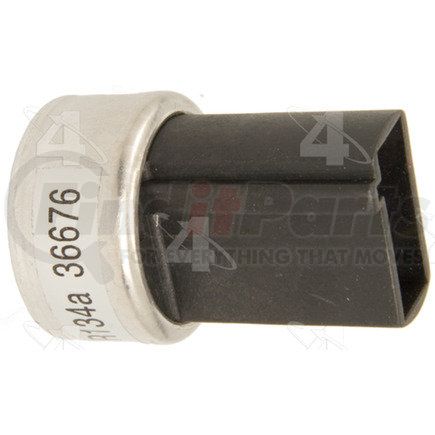 36676 by FOUR SEASONS - SYSTEM MOUNTED CYCLING PR
