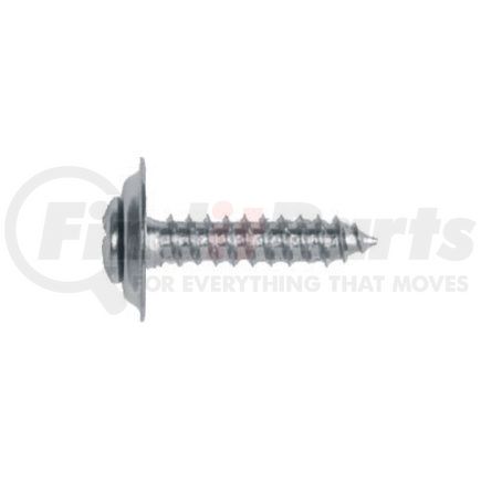 6304 by AUTO BODY DOCTOR - Phillips Oval Head Trim Screw, Size: 8 x 3/4", Head Size: #6, Finish: Chrome, Qty: 10