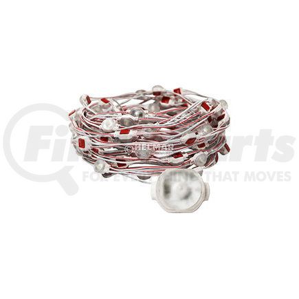 EW0131 by ECCO - LED INTERIOR LIGHT 38' 12V