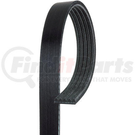 5K407 by ACDELCO - V-Ribbed Serpentine Belt