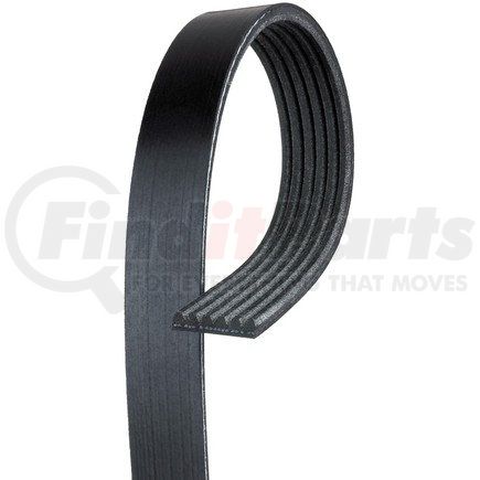 6K1066 by ACDELCO - V-Ribbed Serpentine Belt