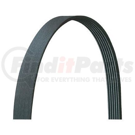 5040250DR by DAYCO - V-RIBBED BELT