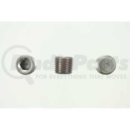 PP507100 by PIONEER - PIPE PLUG