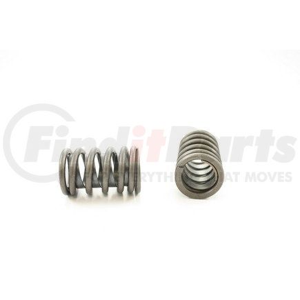 RV1002X100 by PIONEER - VALVE SPRING