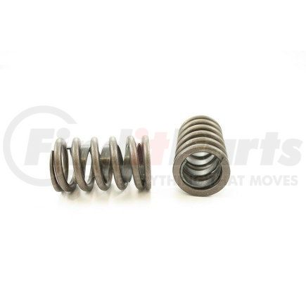 RV1003X4 by PIONEER - VALVE SPRING