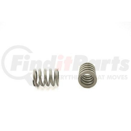 RV10154 by PIONEER - VALVE SPRING