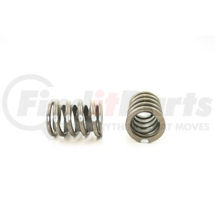 RV1016X4 by PIONEER - VALVE SPRING