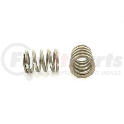 RV10164 by PIONEER - VALVE SPRING