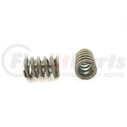 RV1038X100 by PIONEER - VALVE SPRING