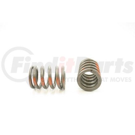 RV1040100 by PIONEER - VALVE SPRING