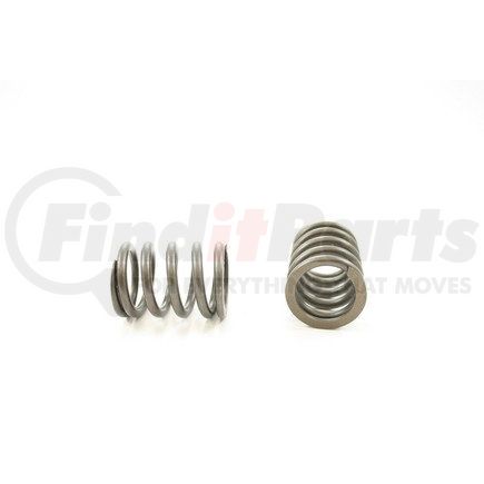 RV10444 by PIONEER - VALVE SPRING