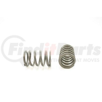 RV10454 by PIONEER - VALVE SPRING