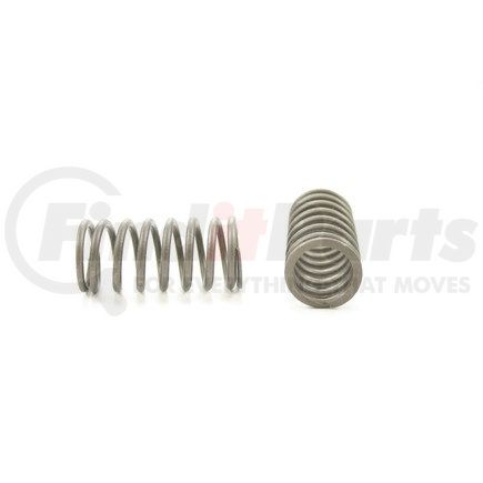 RV10464 by PIONEER - VALVE SPRING