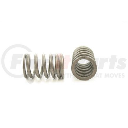 RV1048100 by PIONEER - VALVE SPRING