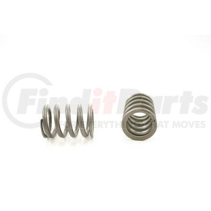 RV10504 by PIONEER - VALVE SPRING