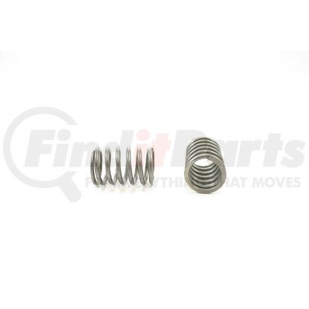 RV1068100 by PIONEER - VALVE SPRING