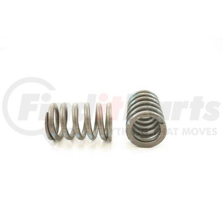 RV1071100 by PIONEER - VALVE SPRING