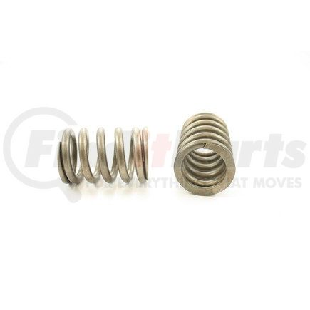 RV1082100 by PIONEER - VALVE SPRING