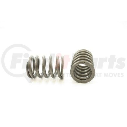 RV1094100 by PIONEER - VALVE SPRING