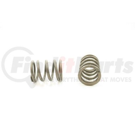 RV1106100 by PIONEER - VALVE SPRING