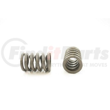 RV718X100 by PIONEER - VALVE SPRING