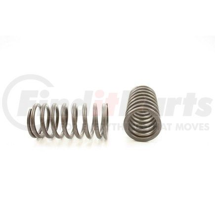 RV722100 by PIONEER - VALVE SPRING