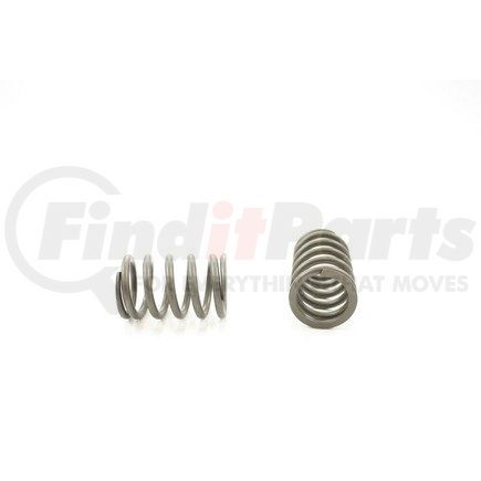 RV7544 by PIONEER - VALVE SPRING