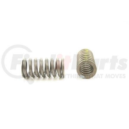 RV769100 by PIONEER - VALVE SPRING