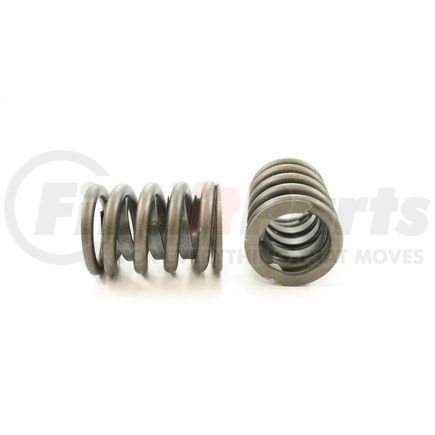 RV815X4 by PIONEER - VALVE SPRING