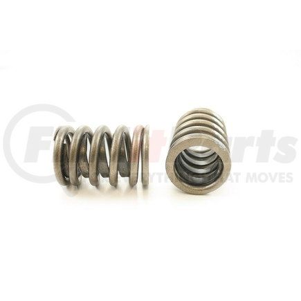 RV816X4 by PIONEER - VALVE SPRING