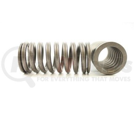 RV8174 by PIONEER - VALVE SPRING