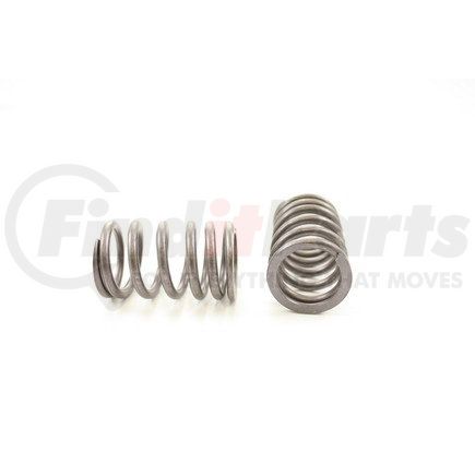 RV8624 by PIONEER - VALVE SPRING