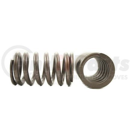 RV8634 by PIONEER - VALVE SPRING