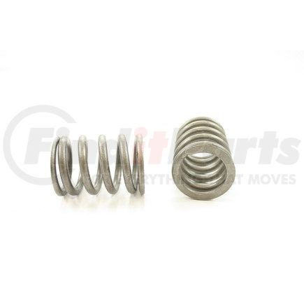 RV8844 by PIONEER - VALVE SPRING